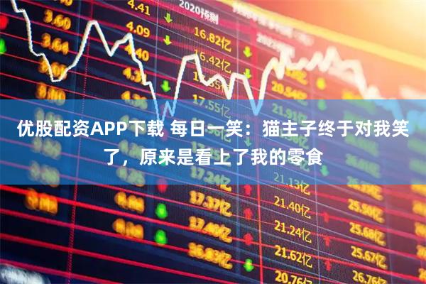 优股配资APP下载 每日一笑:猫主子终于对我笑了,原来是看上了我的零食